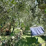 Campo de lujo Stecadó Glamping *