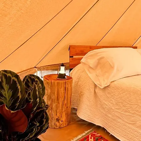 Tente de luxe Stecado Glamping *