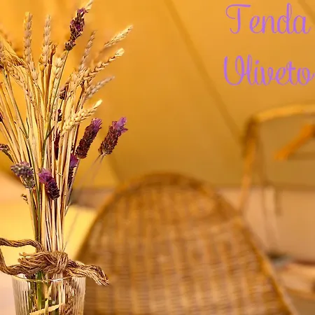 Stecado Glamping Tente de luxe Dolceacqua