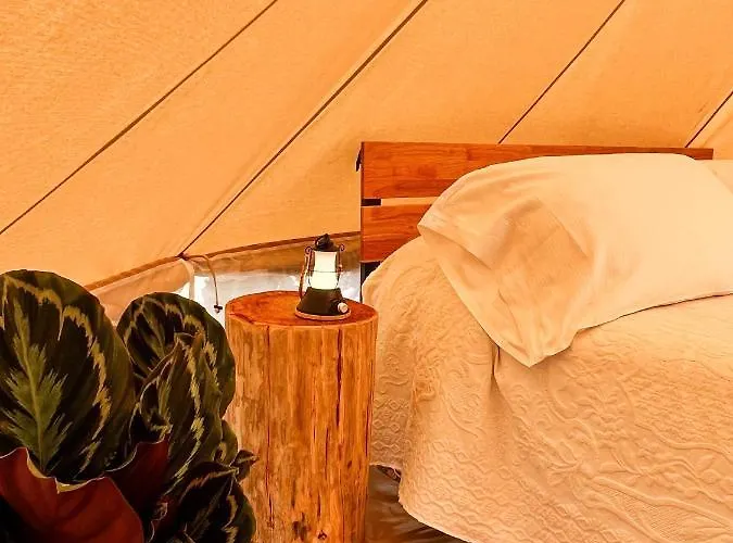 豪华帐篷 Stecado Glamping *