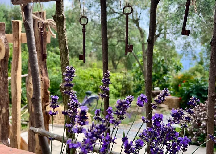 Stecado Glamping 豪华帐篷 多尔切阿夸